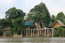 Bamboo Green Lodge