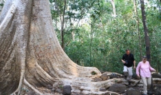 Vietnam National Park Tour