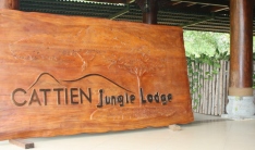 Cat Tien Jungle Lodge