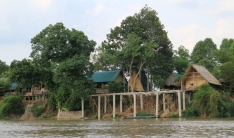 Bamboo Green Lodge