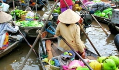 Ho Chi minh - Mekong Delta Tour