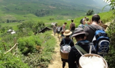 Sapa Remote Village Trek With Homestay