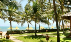 Coco Beach Resort