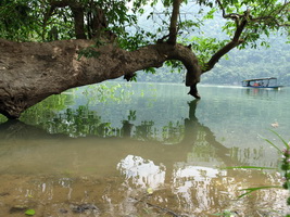 photo in babe lake