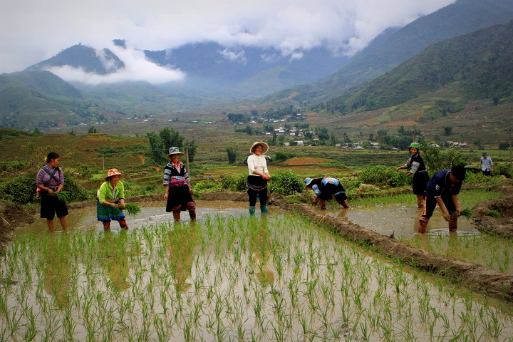 Sapa, Hill tribe, authentic, local, North Vietnam, trip