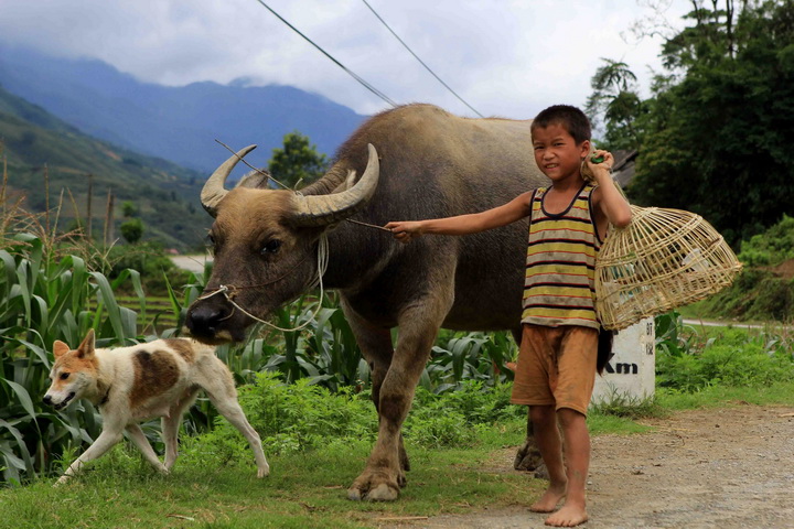 Sapa, Hill tribe, authentic, local, North Vietnam, trip