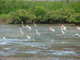 Xuan Thuy National Park