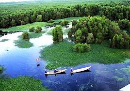 The Cape of Ca Mau