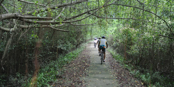 Cat Ba National Park