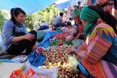 Bac Ha Market