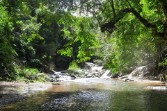 Chu Mom Ray National Park