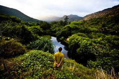 Con Dao National Park