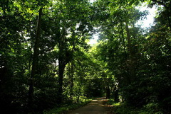 Cuc Phuong National Park