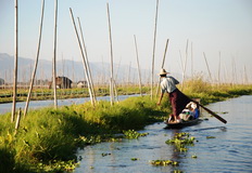 Floating Gardens