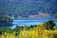 Tuyen Lam Lake