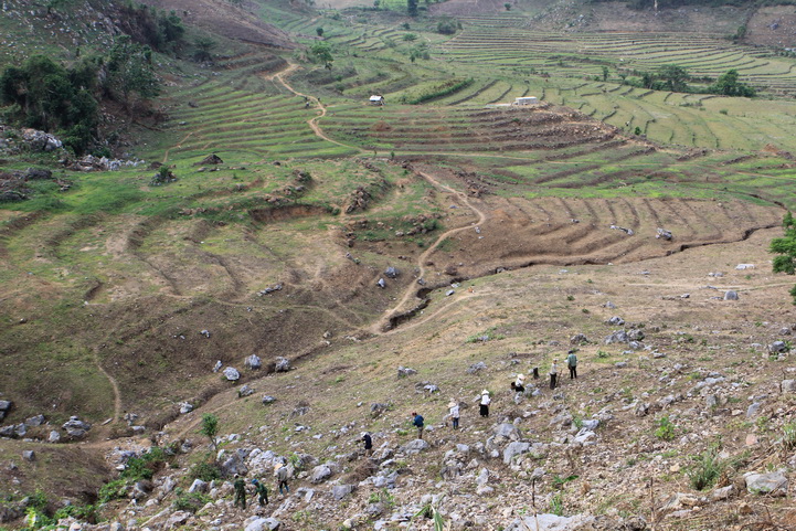 Farm on the rock