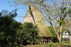 The Rong House (Communal House)