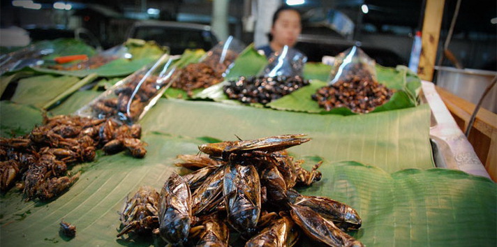 Tinh Bien insect market - An Giang