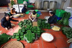 Thanh Khuc "Chung" cake Village