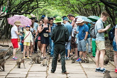 Vam Sat Ecological tourist center