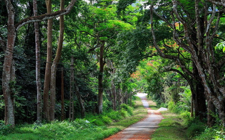 Cuc Phuong National Park, Ninh Binh, Vietnam